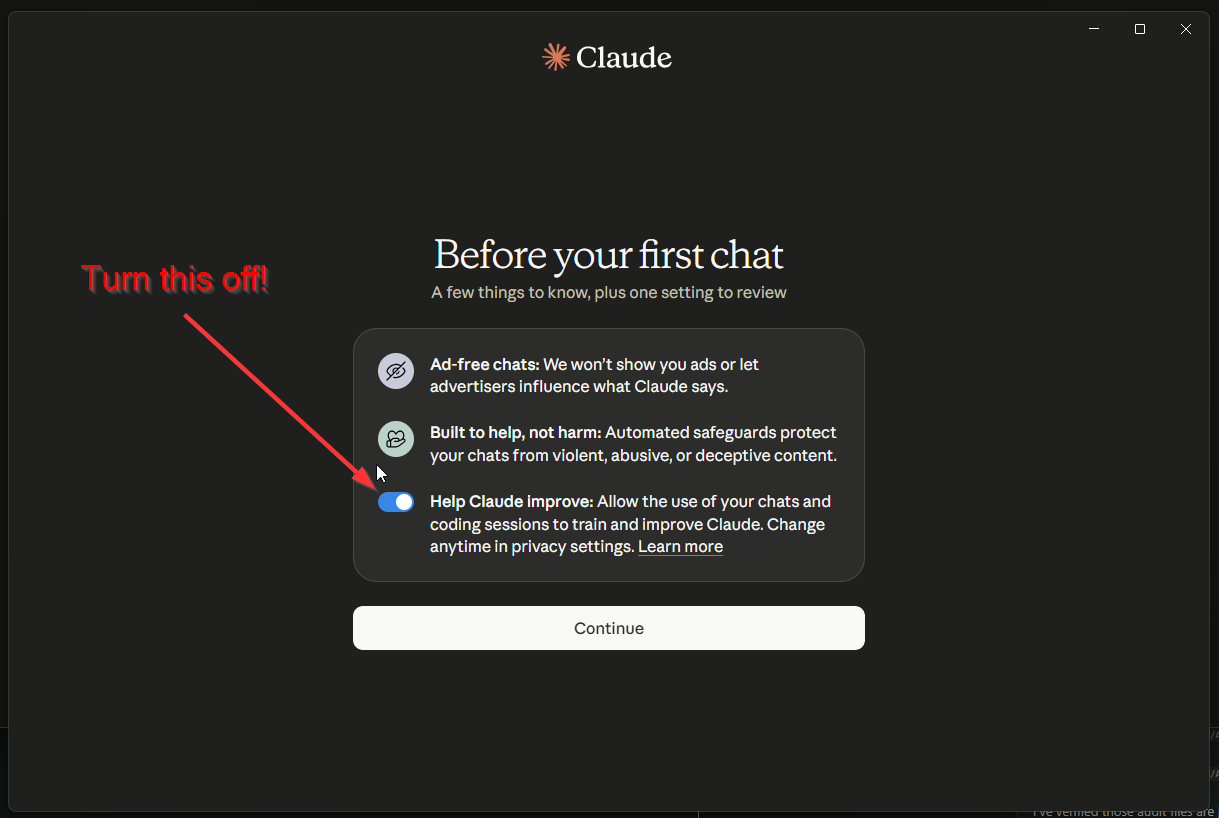 Claude Settings 1